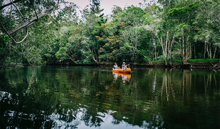 View of  2 people canoeing on Pine Creek, with a tree branch in the foreground and creek bank in background. Photo: Jay Black &copy; OEH