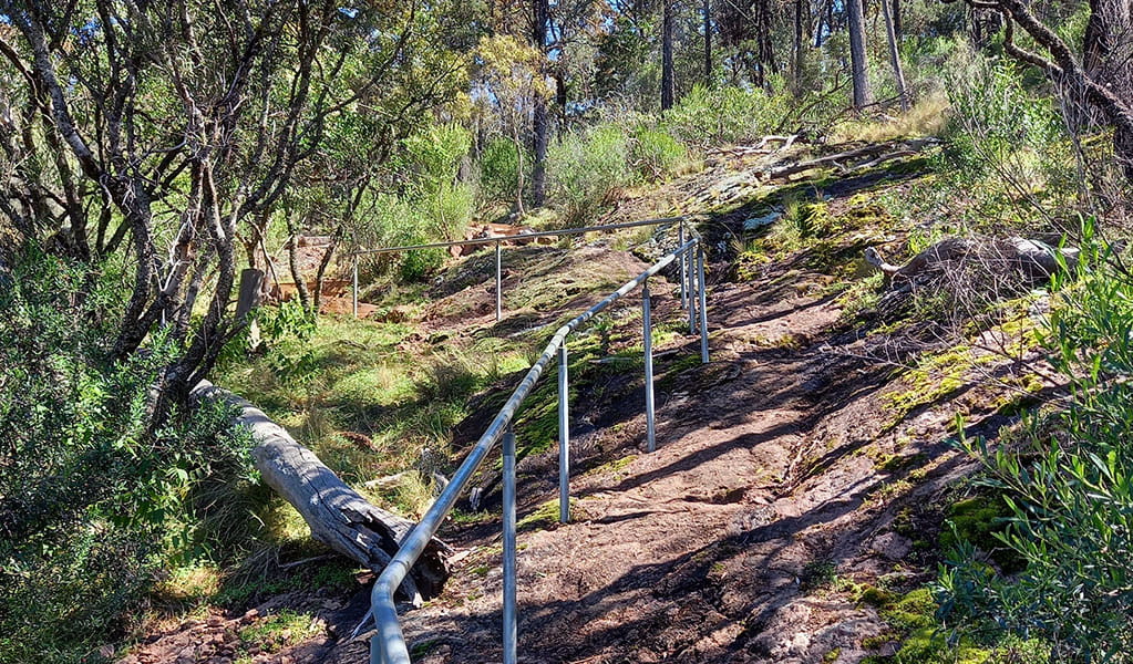 A path with metal railing curves up a hill in a bush setting. Photo credit: Grace Proudfoot &copy; DPIE  