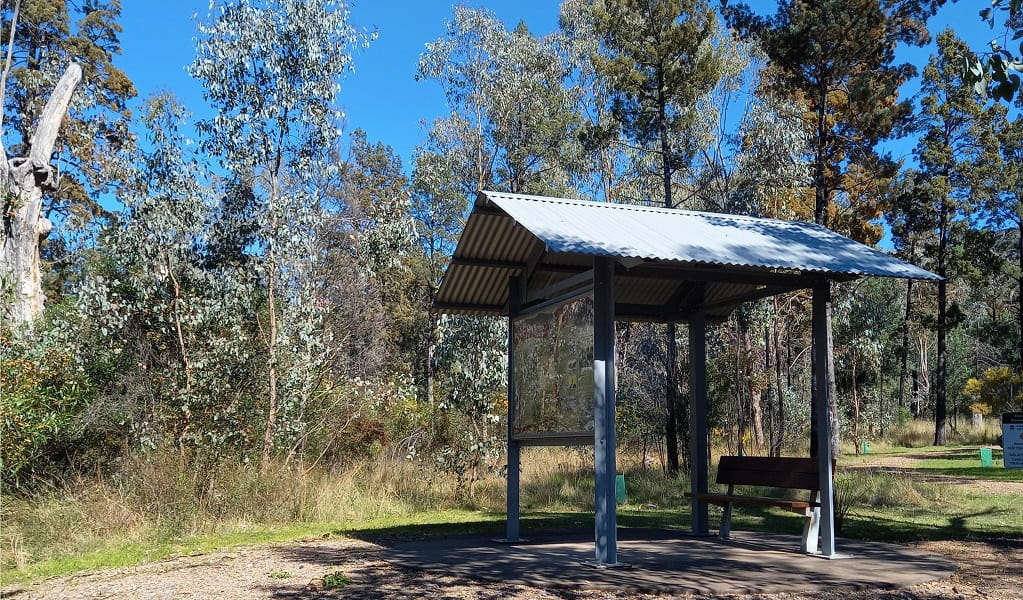 Boonalla picnic area, Boonalla Aboriginal Area. Photo: Grace Proudfoot &copy; DPIE