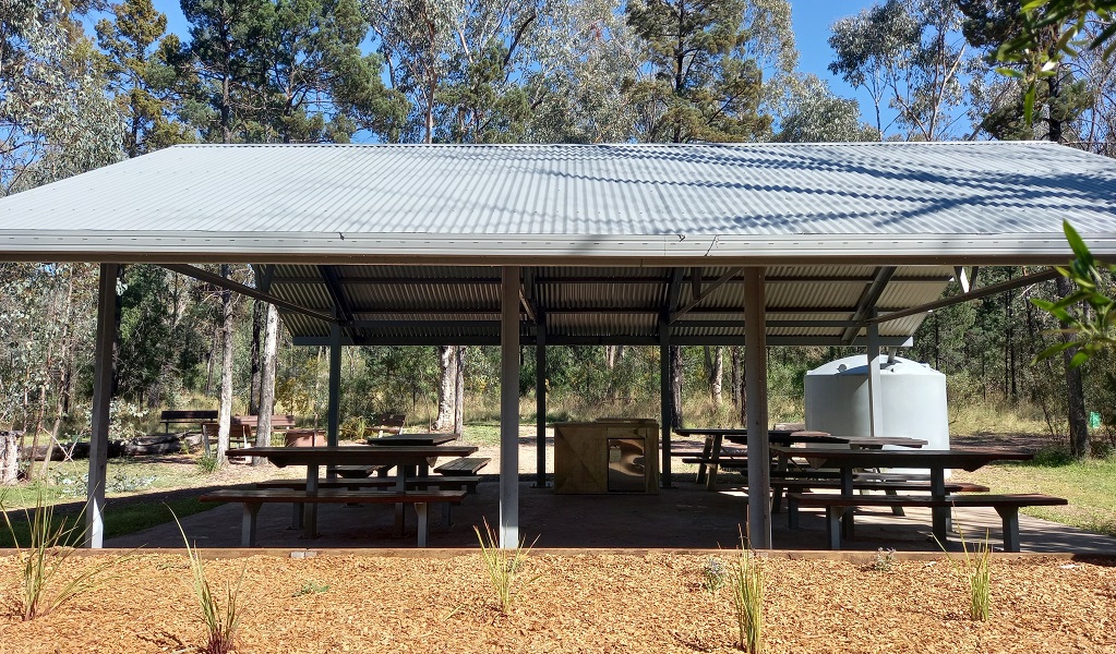 Boonalla picnic area, Boonalla Aboriginal Area. Photo: Grace Proudfoot &copy; DPIE