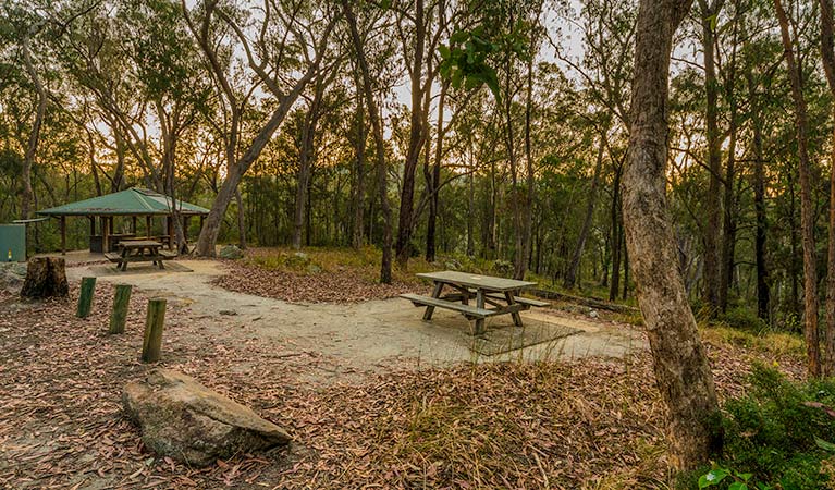 Boonoo Boonoo Falls picnic area, Boonoo Boonoo National Park. Photo: David Young Copyright: NSW Government
