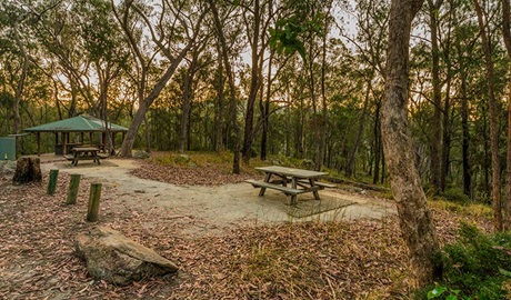 Boonoo Boonoo Falls picnic area, Boonoo Boonoo National Park. Photo: &copy; David Young