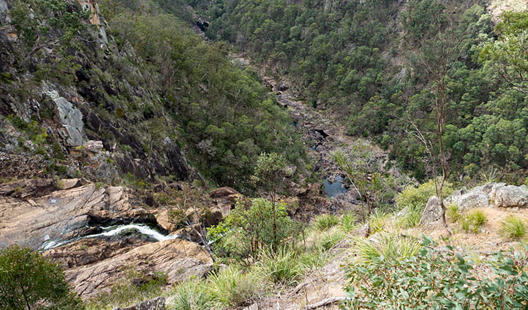 The view of the falls at  the end of Boonoo Boonoo Falls walking track in Boonoo Boonoo National Park. Photo: Leah Pippos &copy; DPIE