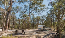 Caravan at Cypress Pine campground in Boonoo Boonoo National Park. Photo: David Young &copy: David Young