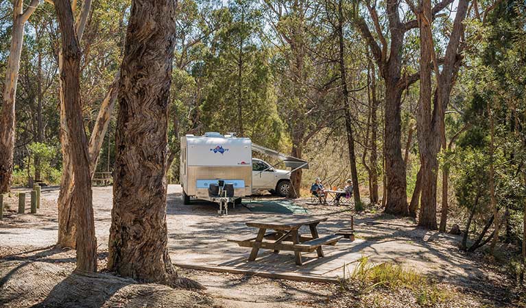 Caravan at Cypress Pine campground in Boonoo Boonoo National Park. Photo: David Young &copy: David Young
