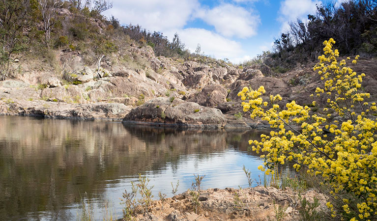 Rock pools near Boonoo Boonoo Falls walking track in Boonoo Boonoo Falls National Park. Photo: Leah Pippos &copy; DPIE
