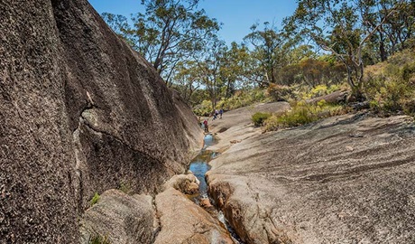 Morgans Gully, Boonoo Boonoo National Park. Photo &copy; David Young