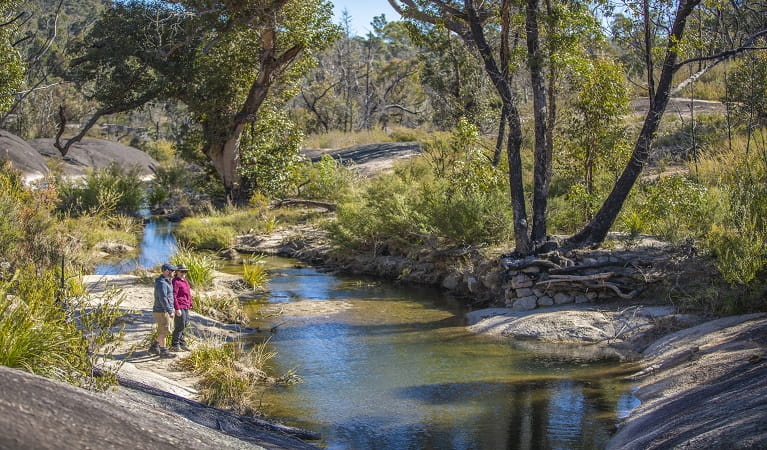 Visitors looking out over the waterway, running through the rugged bushland at Morgans Gully picnic area. Photo: Joshua J Smith &copy; DPE
