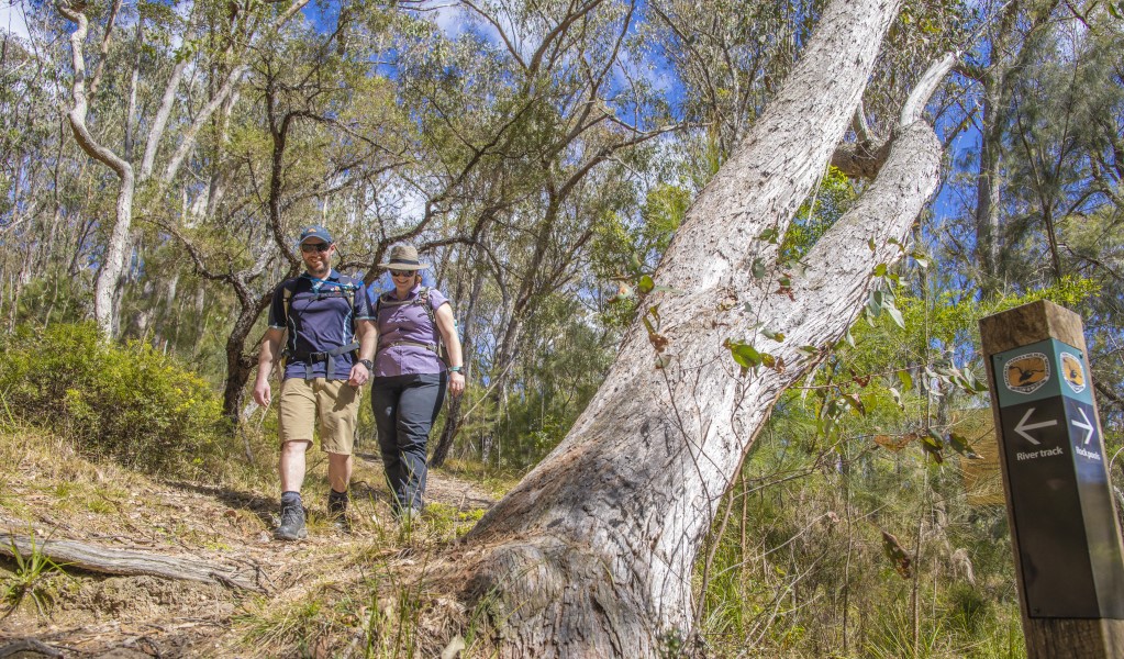 Two people walking downhill through trees along River walk in Boonoo Boonoo National Park. Photo: Joshua Smith © DPE