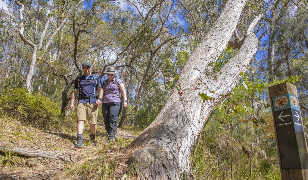 Two people walking downhill through trees along River walk in Boonoo Boonoo National Park. Photo: Joshua Smith &copy; DPE