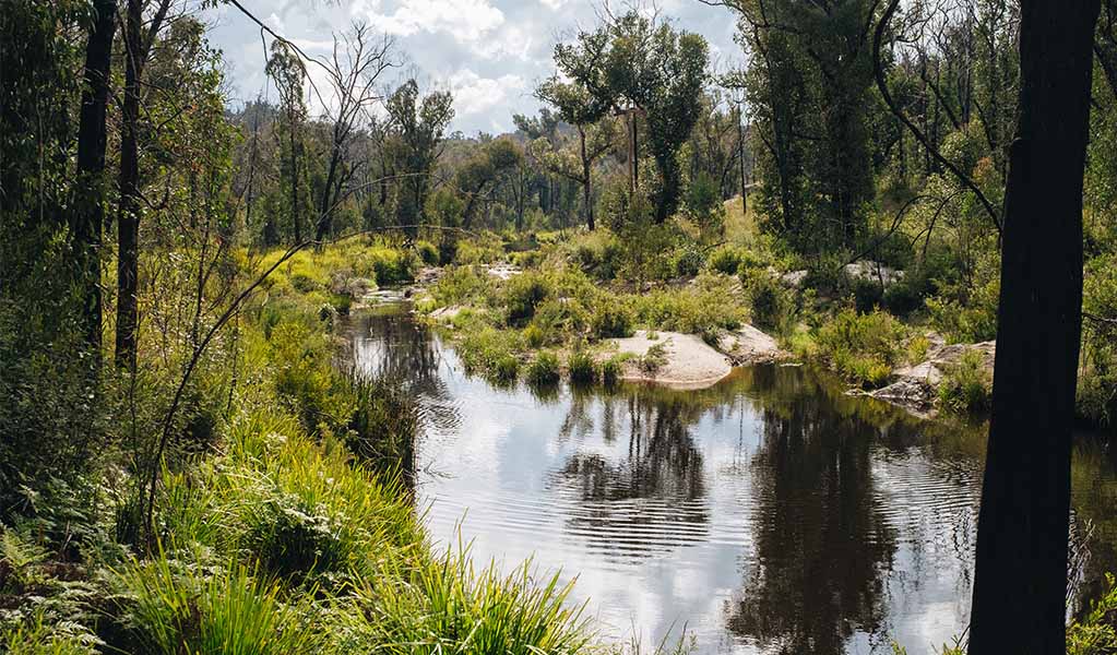 River walk, Boonoo Boonoo National Park. Photo &copy; Harrison Candlin