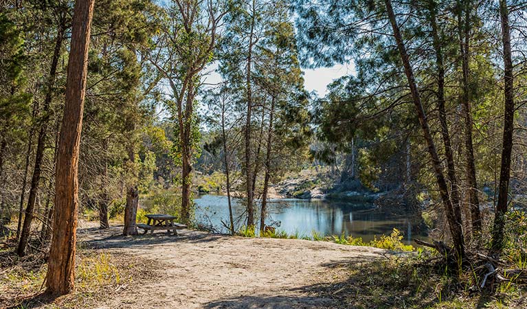 River walk, Boonoo Boonoo National Park. Photo &copy; David Young