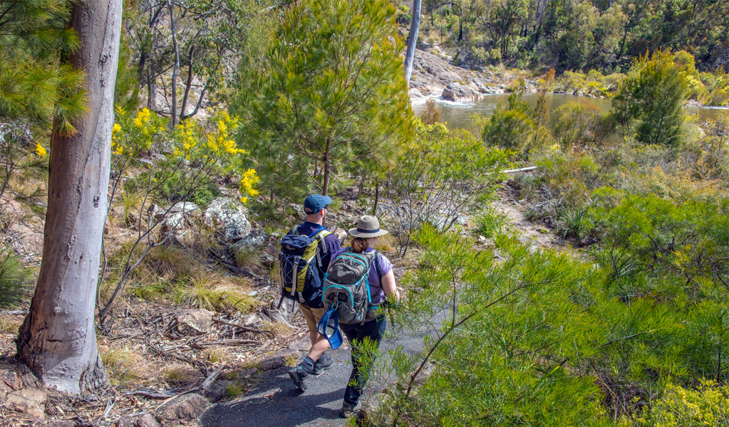 People hiking the River walk in Boonoo Boonoo National Park near Tenterfield. Photo: Joshua J Smith, &copy; DCCEEW
