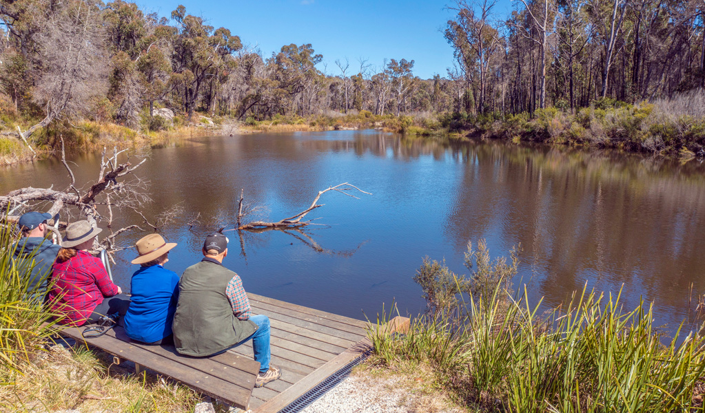 People on the platypus viewing platform at Platypus Hole picnic area, which is part of the River walk in Boonoo Boonoo National Park. Photo: Joshua J Smith, &copy; DCCEEW