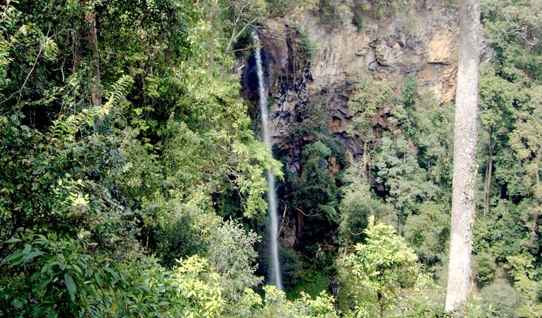 Rawson falls, Boorganna Nature Reserve. Photo: L Feltus/NSW Government