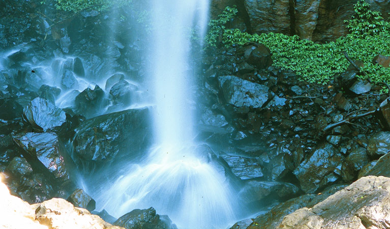 Rawson falls, Boorganna Nature Reserve. Photo: K Bayer