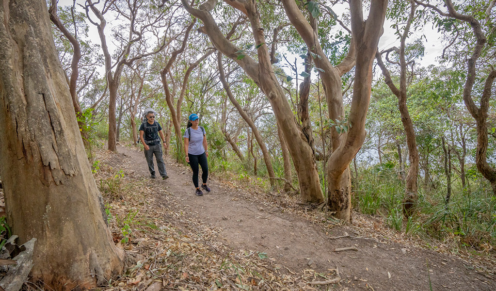 2 people walking Booti walking track surrounded by trees in Booti Booti national park. Credit: John Spencer &copy; DPE