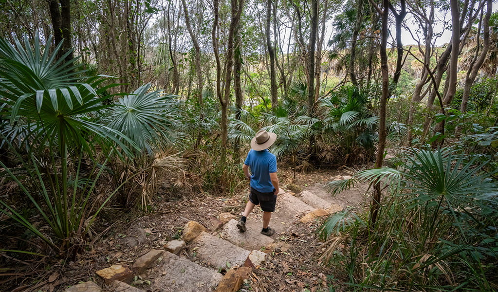 A bushwalker walking down sandstone steps in the rainforest along Booti walking track in Booti Booti National Park. Credit: John Spencer &copy; DPE
