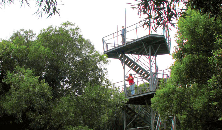 Cape Hawke lookout walk, Booti Booti National Park. Photo credit: Ian Charles &copy; Ian Charles