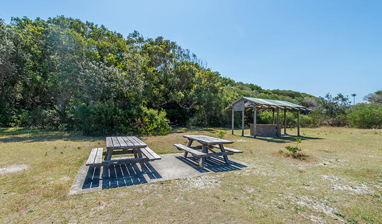 Picnic tables and barbecue shelter, Elizabeth Beach picnic area, Booti Booti National Park. Photo credit: John Spencer &copy; DPIE