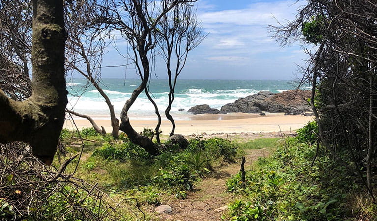 The view from McBrides Beach walking track as it exits to McBrides Beach. Photo: Brett Cann &copy; DPIE