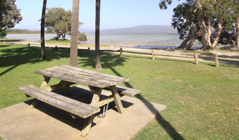 Picnic table at Sailing Club picnic area, Booti Booti National Park. Photo: OEH