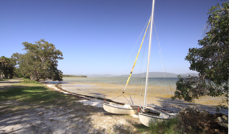 Boats on shore of Wallis Lake at Sailing Club picnic area, Booti Booti National Park. Photo: OEH