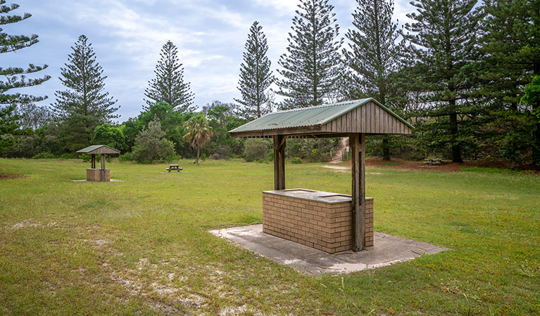 Grassy flat surrounded by tall Norfolk pines with barbecue facilities and a picnic table. Photo credit: John Spencer &copy; DPIE