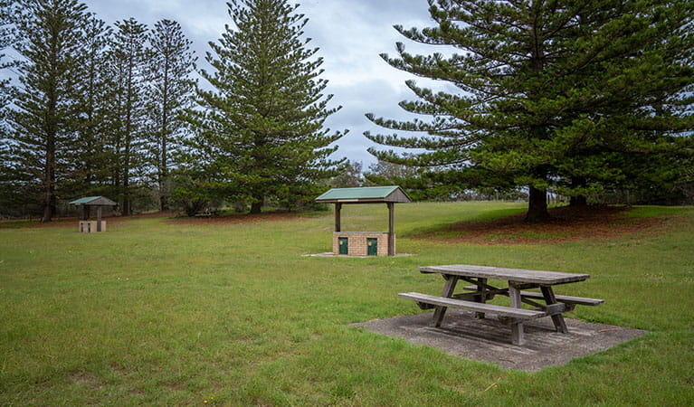 A picnic table and barbecues on a grassy flat surrounded by tall Norfolk pines. Photo credit: John Spencer &copy; DPIE