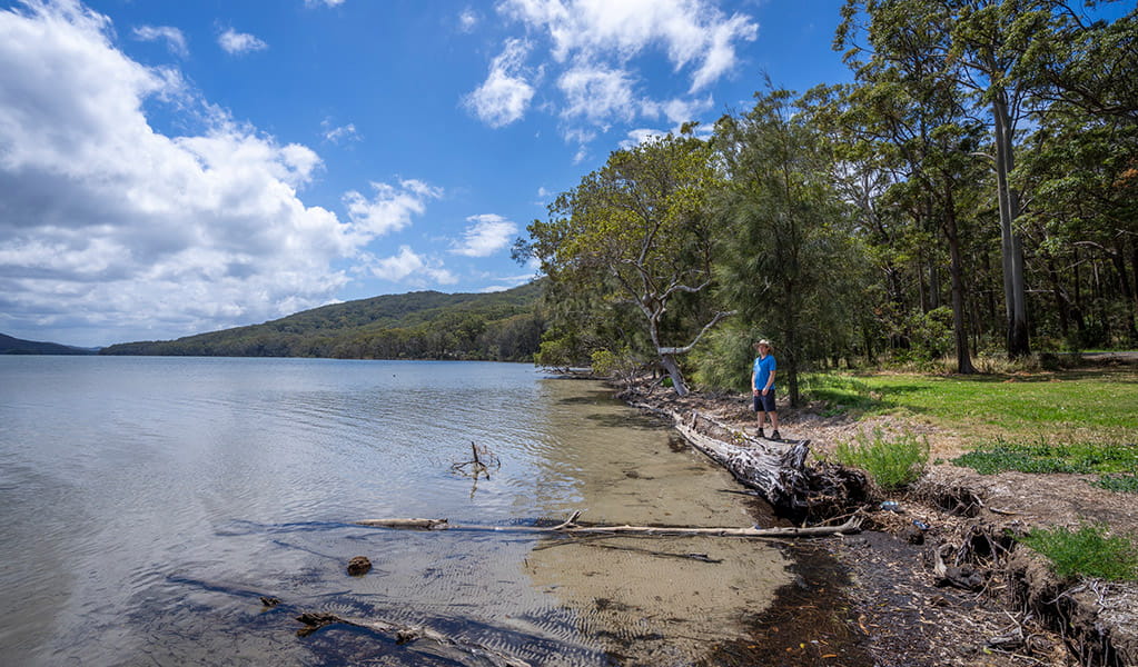 A person at the shore of Wallis lake in Booti Booti National Park. Credit: John Spencer &copy; DPE