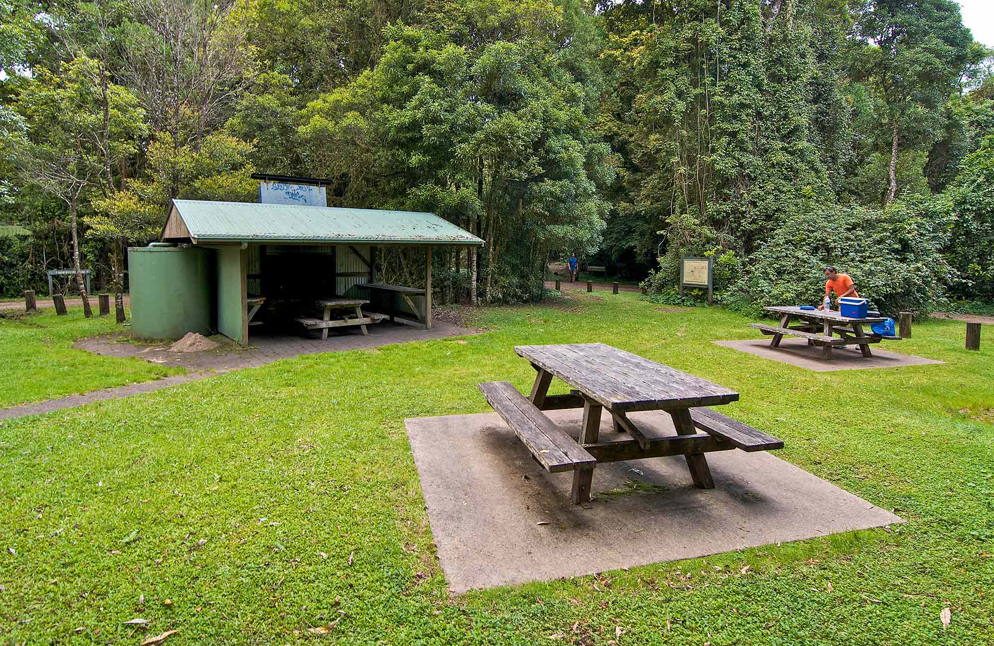 Bar Mountain picnic area NSW National Parks