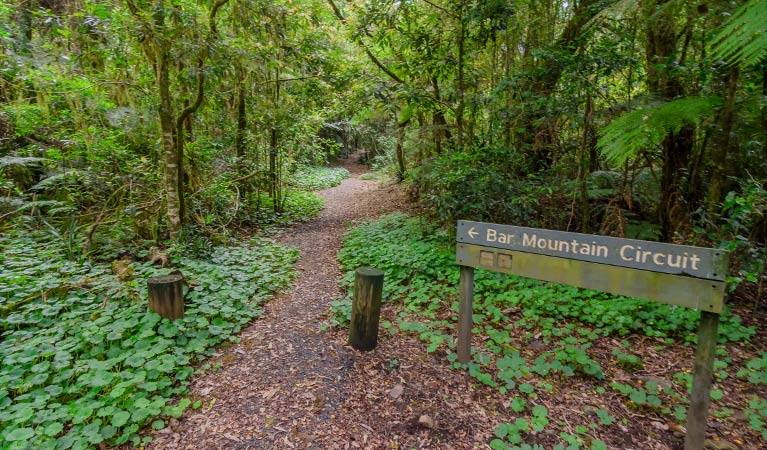 Sign at start of Bar Mountain circuit walking track, Border Ranges National Park. Photo credit: John Spencer &copy; DPIE