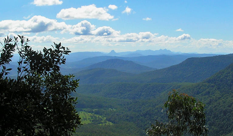 Views from Bar Mountain lookout in Border Ranges National Park. Photo credit: Stephen King &copy; Stephen King