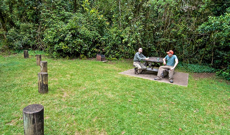 Two men sit at a picnic table at Bar Mountain picnic area, Border Ranges National Park. Photo credit: John Spencer &copy; DPIE