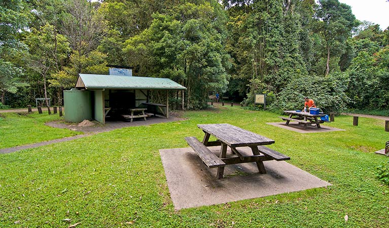 Picnic tables and shelter at Bar Mountain picnic area, Border Ranges National Park. Photo credit: John Spencer &copy; DPIE