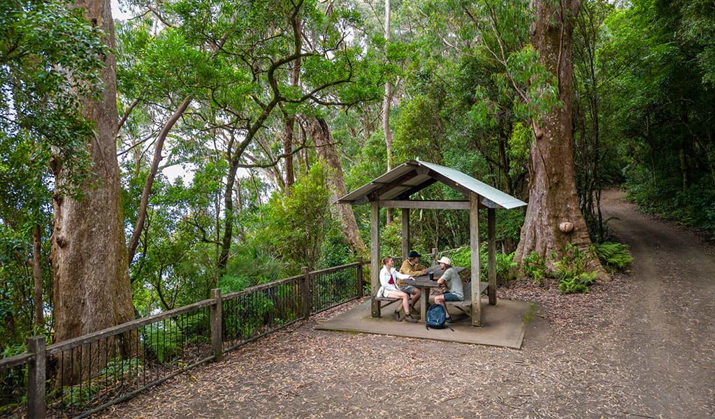 3 visitors sitting at a sheltered picnic table surrounded by large trees and forest at Blackbutt lookout picnic area. Credit: John Spencer &copy; DPE