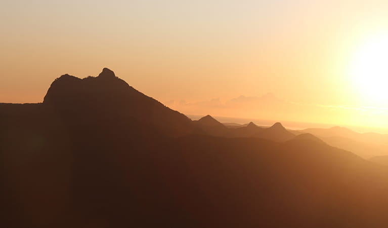 Silhouette of Wollumbin (Mount Warning) as the sun rises over the Tweed Valley, seen from Blackbutt lookout in Border Ranges National Park. Photo: Jessical Stokes &copy; DPE