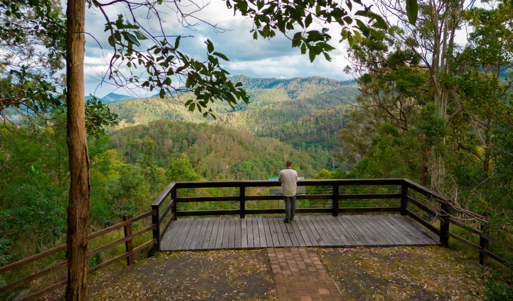 Visitor enjoying valley views from Border Loop lookout. Credit: John Spencer &copy; DPE 