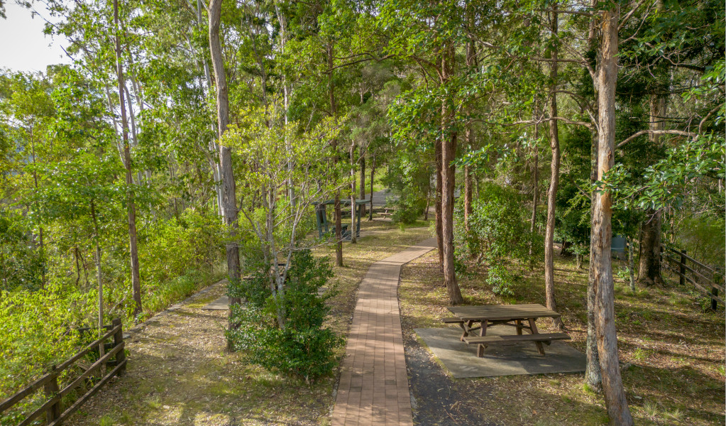 Picnic tables at Border Loop lookout and picnic area. Credit: John Spencer &copy; DPE 