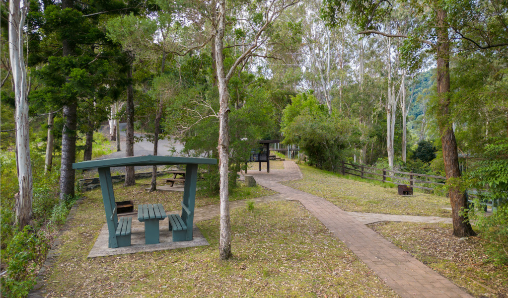 Sheltered picnic table at Border Loop lookout and picnic area. Credit: John Spencer &copy; DPE 