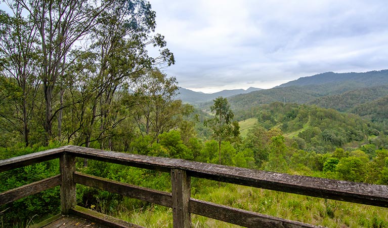 Views of Gradys Creek valley from Border Loop lookout in Border Ranges National Park. Photo credit: John Spencer &copy; DPIE