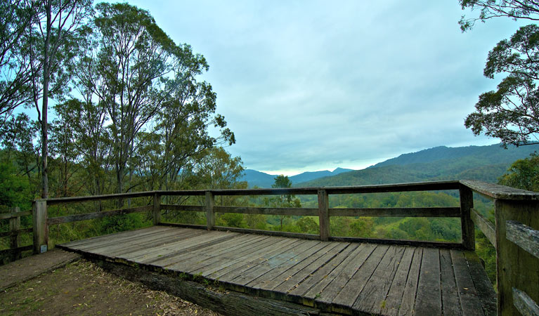 Timber viewing platform at Border Loop lookout, Border Ranges National Park. Photo credit: John Spencer &copy; DPIE