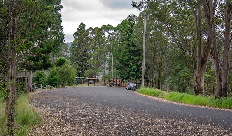 Sealed road and parking at Border Loop lookout and picnic area, Border Ranges National Park. Photo credit: John Spencer &copy; DPIE