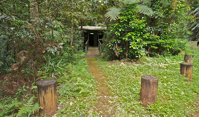 Toilet facilities amongst rainforest at Brindle Creek picnic area, Border Ranges National Park. Photo credit: John Spencer &copy; DPIE