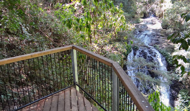 View of waterfall from Brushbox Falls lookout in Border Ranges National Park. Photo credit: Stephen King &copy; Stephen King