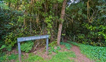 Sign at start of Falcorostrum loop walking track, in Border Ranges National Park. Photo credit: John Spencer &copy; DPIE