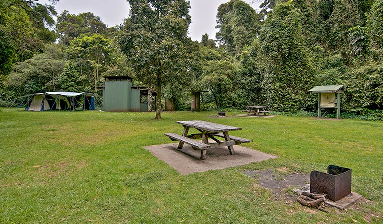 Picnic table and wood campfire facilities at Forest Tops campground, Border Ranges National Park. Photo credit: John Spencer &copy; DPIE