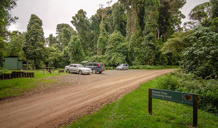 Signage at entry to Forest Tops campground, Border Ranges National Park. Photo credit: John Spencer &copy; DPIE