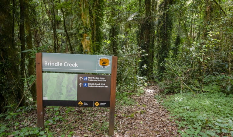 Sign at the start of Helmholtzia loop walking track, Border Ranges National Park. Photo credit: John Spencer &copy; OEH