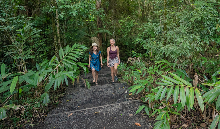Women bushwalking along Palm Forest walking track in Border Ranges National Park. Photo credit: John Spencer &copy; OEH